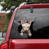 Sphynx Cat Crack Sticker Door The Cutest Custom Window Decals 30th Birthday Gift Ideas - Cat Lovers die-cut waterproof vinyl sticker decal