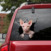 Sphynx Cat Crack Stickers For Cars The Cutest Bee Stickers Gifts For Bakers - Cat Lovers die-cut waterproof vinyl sticker decal