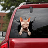 Sphynx Cat Crack Decals Funny Jokes Black And White Stickers Mother's Day Gifts 2022 - Cat Lovers die-cut waterproof vinyl sticker decal