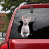 Sphynx Cat Crack Decal For Boat Humor Black And White Stickers Unique Christmas Gifts - Cat Lovers die-cut waterproof vinyl sticker decal