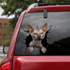 Sphynx Cat Crack Decal For Boat Cuteness Overloaded Kiss Cut Stickers Gifts For Grandpa - custom sticker applied on car truck window preview