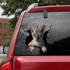 Sphynx Cat Crack Sticker For Back Window Wiper Nice Transfer Stickers Best Christmas Gifts 2021 - Cat Lovers die-cut waterproof vinyl sticker decal