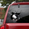 Guinea Pig Crack Decal Window Wiper Funny Faces Vinyl Sticker Paper Birthday Gift Ideas For Mom - Small Pets die-cut waterproof vinyl sticker decal