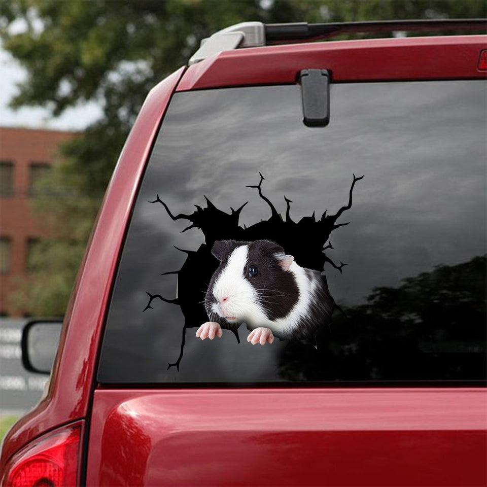 Guinea Pig Crack Decal Car Funny Jokes Car Decals 20th Anniversary Gift - custom sticker applied on car truck window preview