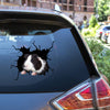 Guinea Pig Crack Decal Car Funny Jokes Car Decals 20th Anniversary Gift - Small Pets die-cut waterproof vinyl sticker decal