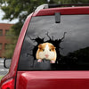 Guinea Pig Crack Stickers Your Cute Clear Labels Gifts For Women - Small Pets die-cut waterproof vinyl sticker decal