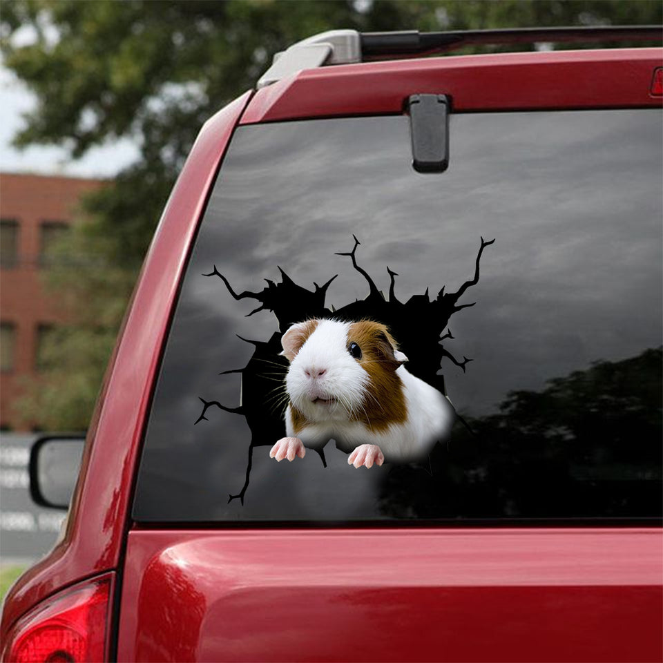 Guinea Pig Crack Stickers For Water Bottle Be Cute Vinyl Graphics 30th Birthday Gift Ideas - custom sticker applied on car truck window preview