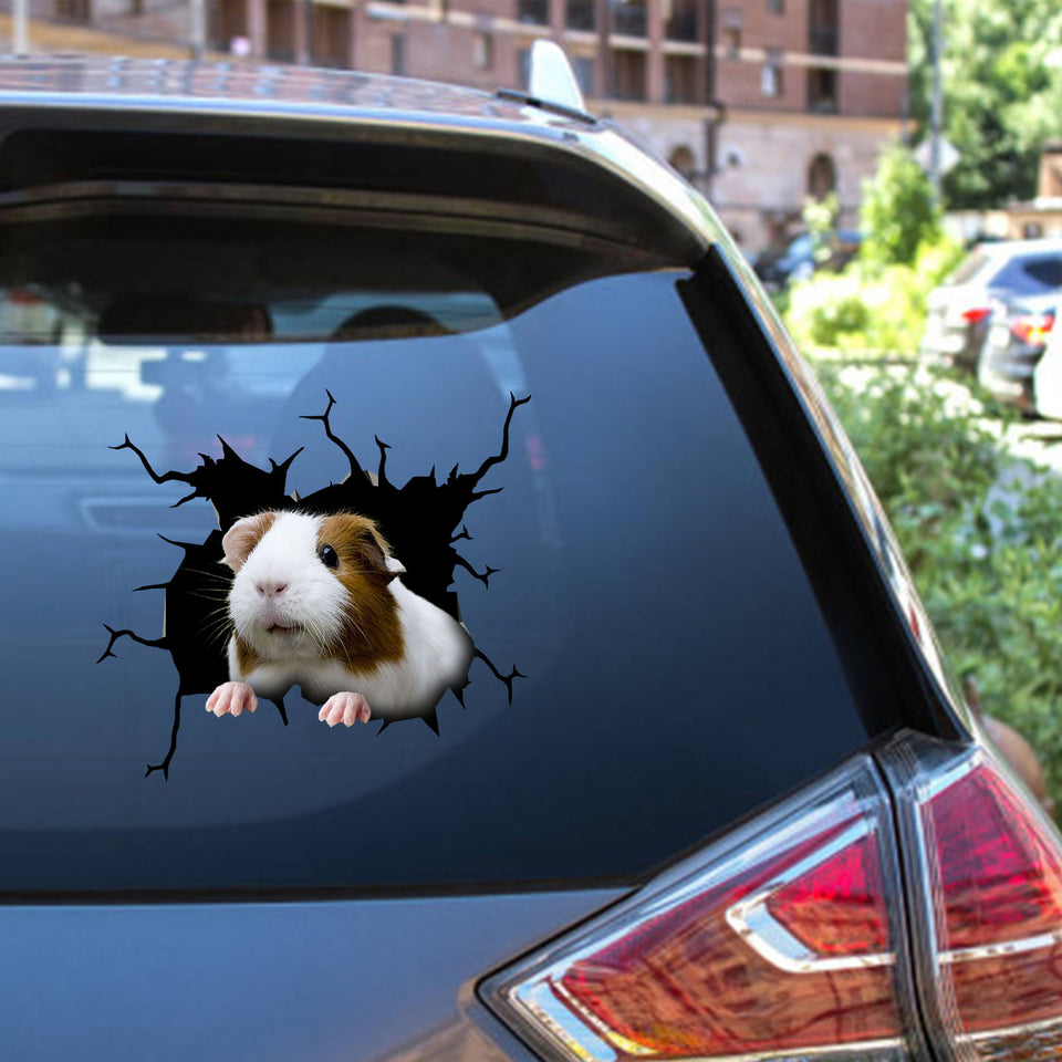 Guinea Pig Crack Stickers For Water Bottle Be Cute Vinyl Graphics 30th Birthday Gift Ideas - Small Pets die-cut waterproof vinyl sticker decal