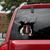 [dt0405-snf-tnt]-guinea-pig-crack-car-sticker-mice-lover