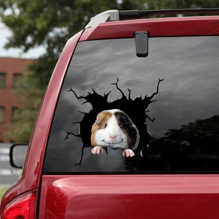 Guinea Pig Crack Sticker Decals Lovely Making Stickers With Decals Gifts For Boss