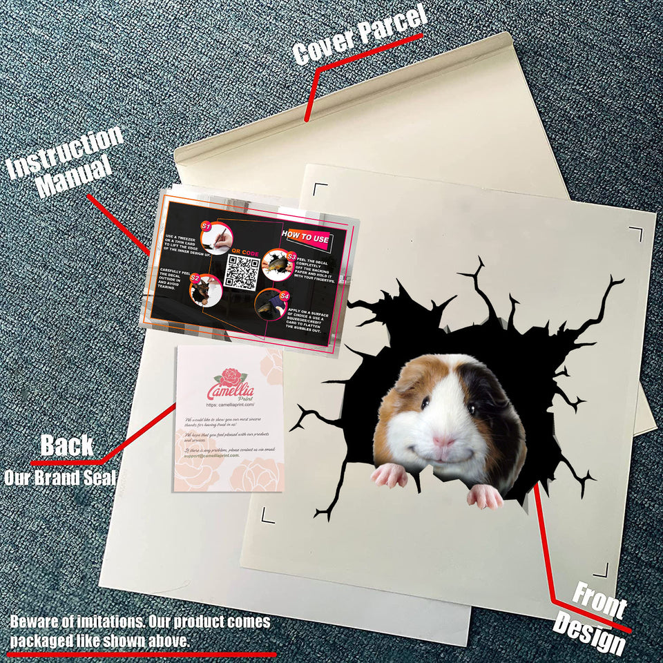 Guinea Pig Crack Sticker Decals Lovely Making Stickers With Decals Gifts For Boss