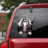 [dt0414-snf-tnt]-saluki-crack-car-sticker-dogs-lover
