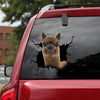 [dt0421-snf-tnt]-alpaca-crack-car-sticker-alpacas-lover