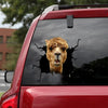 [dt0423-snf-tnt]-alpaca-crack-car-sticker-alpacas-lover
