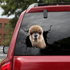 [dt0428-snf-tnt]-alpaca-crack-car-sticker-alpacas-lover