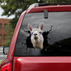 [dt0429-snf-tnt]-alpaca-crack-car-sticker-alpacas-lover