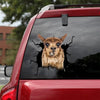 [dt0432-snf-tnt]-alpaca-crack-car-sticker-alpacas-lover