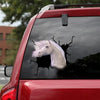 [dt0433-snf-tnt]-unicorn-crack-car-sticker-horses-lover