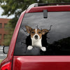 [dt0451-snf-tnt]-jack-russell-terrier-crack-car-sticker-dogs-lover