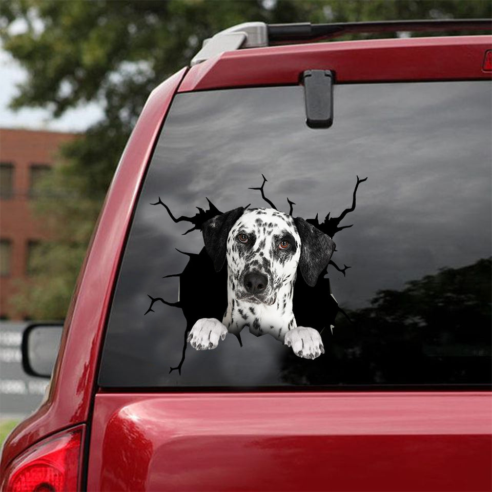 [dt0487-snf-tnt]-dalmatian-crack-car-sticker-dogs-lover