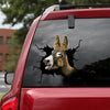 Donkey Crack Decal For Car Window Cool Custom Car Decals Stuffer Ideas - General die-cut waterproof vinyl sticker decal