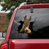 [dt0502-snf-tnt]-donkey-crack-car-sticker-donkeys-lover