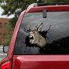 [dt0508-snf-tnt]-donkey-crack-car-sticker-donkeys-lover