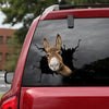 Donkey Crack Decal Car Funny Water Bottle Labels Valentines Ideas - General die-cut waterproof vinyl sticker decal