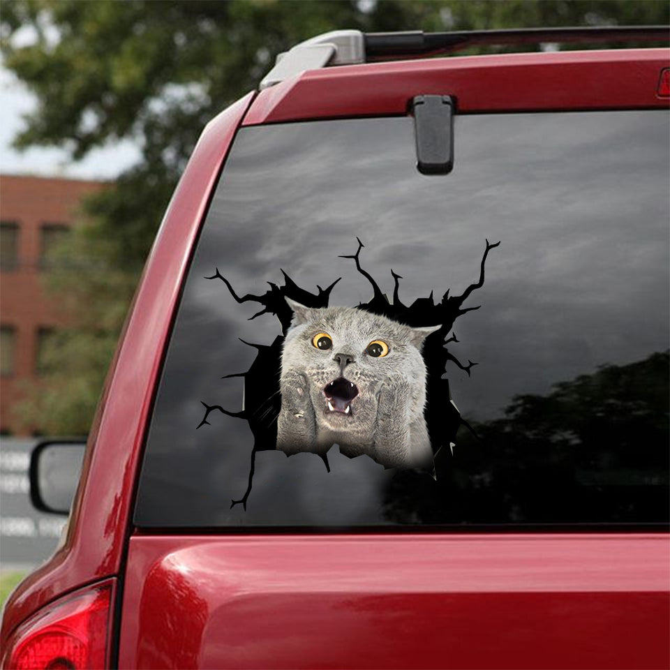 [dt0559-snf-tnt]-british-shorthair-cat-crack-car-sticker-cats-lover