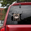 Ferret Crack Dad Decal Funny Memes Magnetic Stickers 2 Year Anniversary Gift - Small Pets die-cut waterproof vinyl sticker decal
