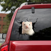 Ferret Crack Decal For Car Kawaii Name Tag Stickers Presents - Small Pets die-cut waterproof vinyl sticker decal