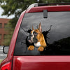 [dt0661-snf-tnt]-boxer-crack-car-sticker-dog-lovers