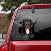 Great Dane Crack Sticker Cute Fun Stickers Gifts For Sister - Dog Lovers die-cut waterproof vinyl sticker decal