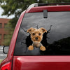 Yorkshire Crack Stickers For Cars Corny Jokes Anime Car Sticker Gift Ideas For Mom - Dog Lovers die-cut waterproof vinyl sticker decal