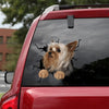 Yorkshire Crack Bone Sticker You Cute Outdoor Stickers Valentines Day Gifts - Dog Lovers die-cut waterproof vinyl sticker decal