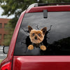 Yorkshire Crack Sticker For Car Window Kawaii Vinyl Decals 8 Year Anniversary Gift - Dog Lovers die-cut waterproof vinyl sticker decal
