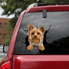 [dt0702-snf-tnt]-yorkshire-crack-car-sticker-dog-lovers