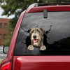 Irish Wolfhound Crack Decals For Windows Funny Car Decals Thirty One Gifts - General die-cut waterproof vinyl sticker decal