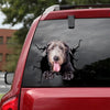 Irish Wolfhound Crack Decal For Wall Your Cute Jeans Anime Car Sticker Gift Ideas For Friends - General die-cut waterproof vinyl sticker decal