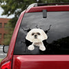 Shih Tzu Crack Sticker Cute Cool Anime Car Decals Gift Ideas For Wife - Dog Lovers die-cut waterproof vinyl sticker decal