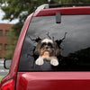 Shih Tzu Crack Decals For Cars Hot Custom Car Window Decals Keychains - Dog Lovers die-cut waterproof vinyl sticker decal