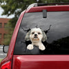 Shih Tzu Crack Sticker Album Funny Birthday Memes Custom Car Stickers Birthday Gifts For Mom - Dog Lovers die-cut waterproof vinyl sticker decal