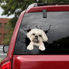 Shih Tzu Crack Decal Items Cuteness Overloaded Custom Decals Christmas Gift Ideas For Her - Dog Lovers die-cut waterproof vinyl sticker decal