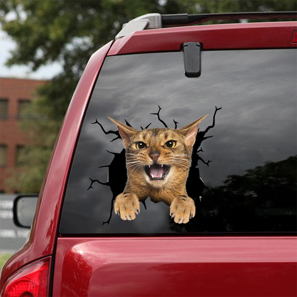 Abyssinian Cat Crack Bumper Sticker Likeable Sticker Paper Best Valentines Gifts For Her - Cat Lovers die-cut waterproof vinyl sticker decal