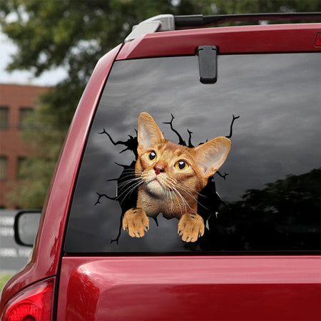 Abyssinian Cat Crack Duck Decal Lovable Face Stickers Bridal Shower Gifts - Cat Lovers Sticker view #8