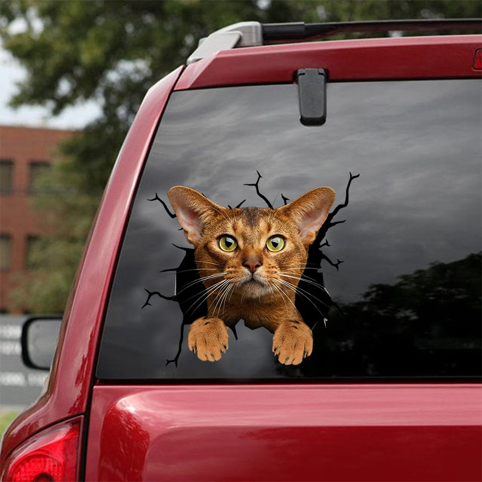Abyssinian Cat Crack Sticker Design The Cutest Window Decals For Business Box Gift - Cat Lovers die-cut waterproof vinyl sticker decal