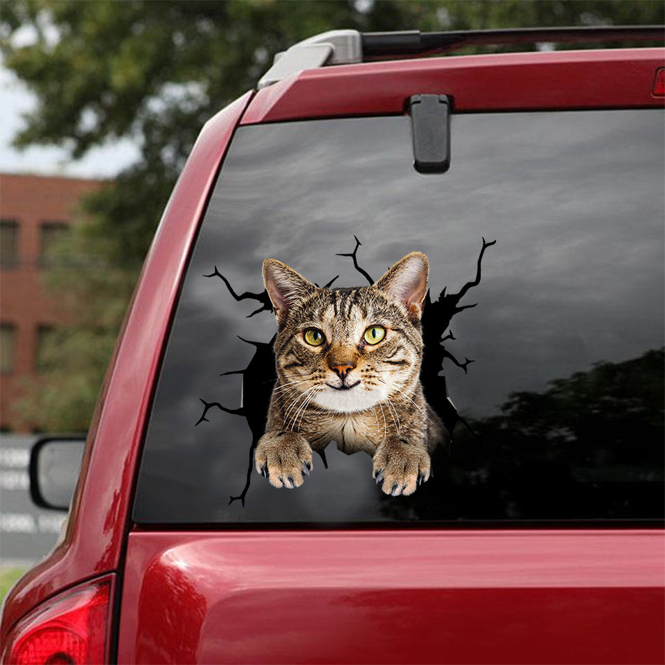 American Shorthair Cat Crack Head Decal Funny Birthday Memes Clear Stickers - Cat Lovers die-cut waterproof vinyl sticker decal