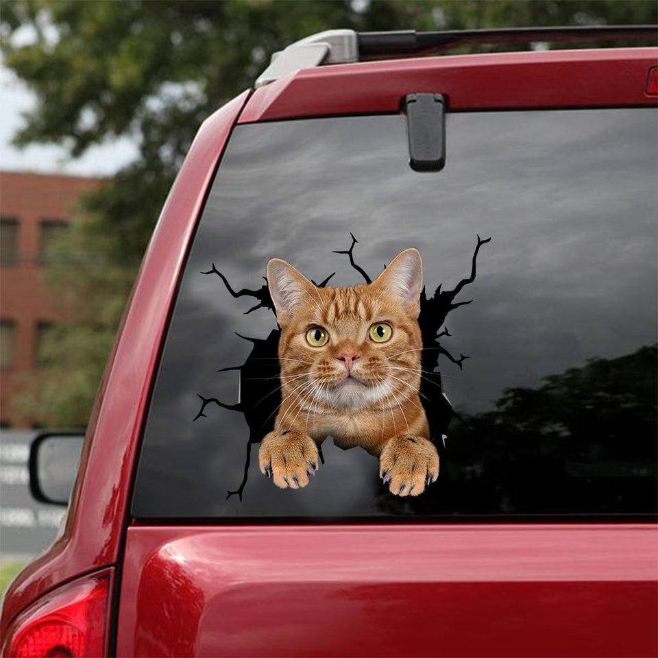 American Shorthair Cat Crack Sticker Sheets Likeable Vinyl Graphics Birthday Gift For Sister - Cat Lovers die-cut waterproof vinyl sticker decal