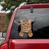 American Shorthair Cat Crack Sticker Sheets Likeable Vinyl Graphics Birthday Gift For Sister - Cat Lovers die-cut waterproof vinyl sticker decal