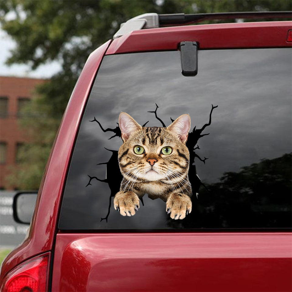 American Shorthair Cat Crack Stickers For Water Bottle Cool Waterproof Labels For Bottles 6 Year Anniversary Gift - Cat Lovers die-cut waterproof vinyl sticker decal